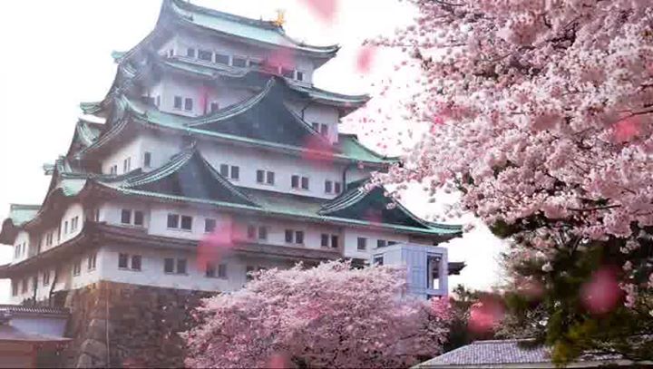 [ad_1]
Nagoya Castle ??[fb_vid  id=”183369358895446″]NAGOYA CASTLE is known throughout the world as one of Japan’s greatest castle. Built in 1612 ~
[ad_2]
2018-05-23 12:07:08
Source  …